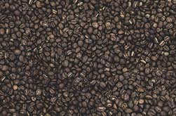 How Coffee Beans are Graded