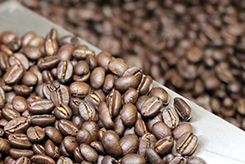 Buying Coffee Beans Online