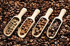Coffee Roasting Types